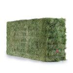 Grote baal weidehooi 70cm hoog